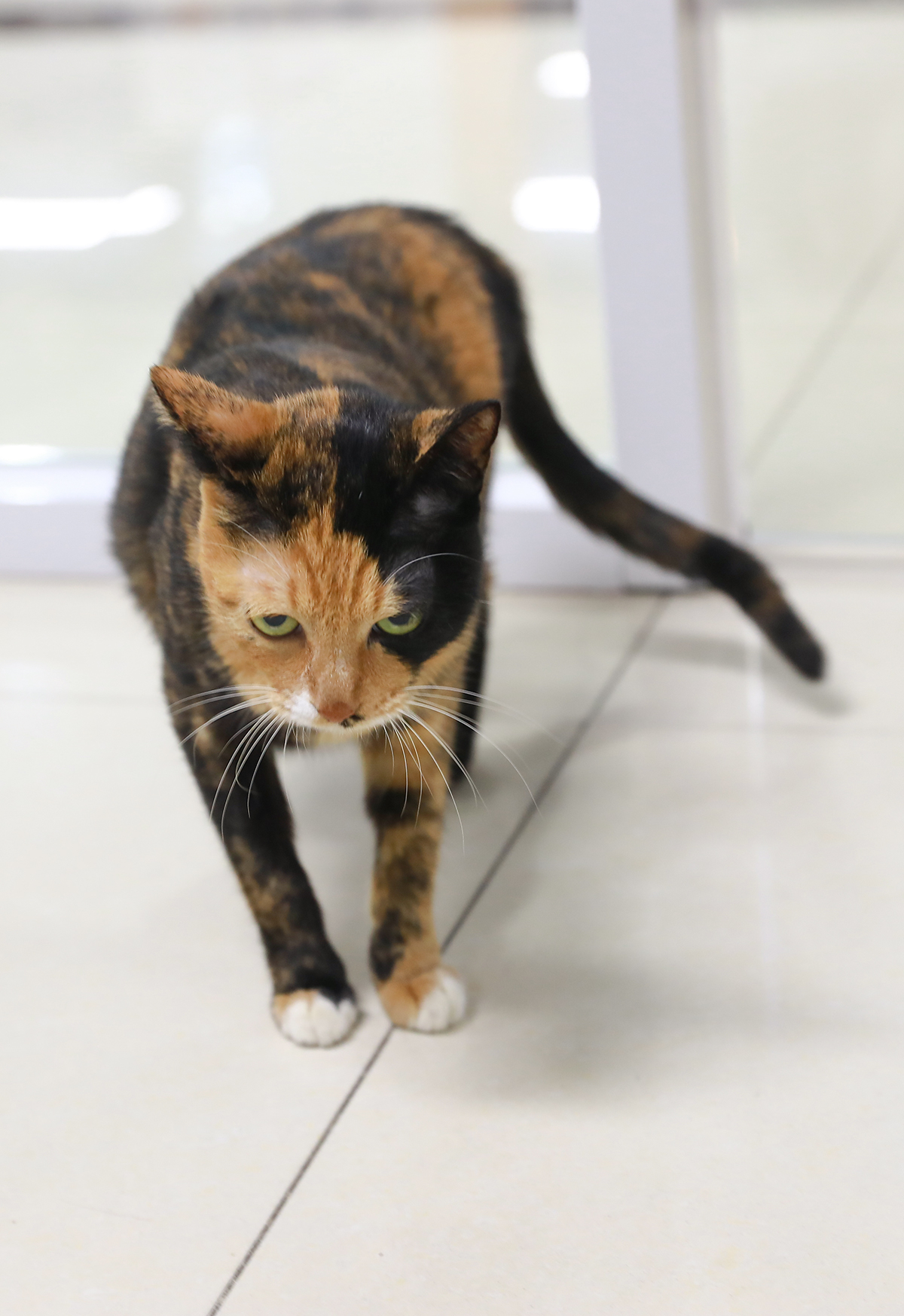 1504332228346750.jpg 美玲的大長腿.jpg